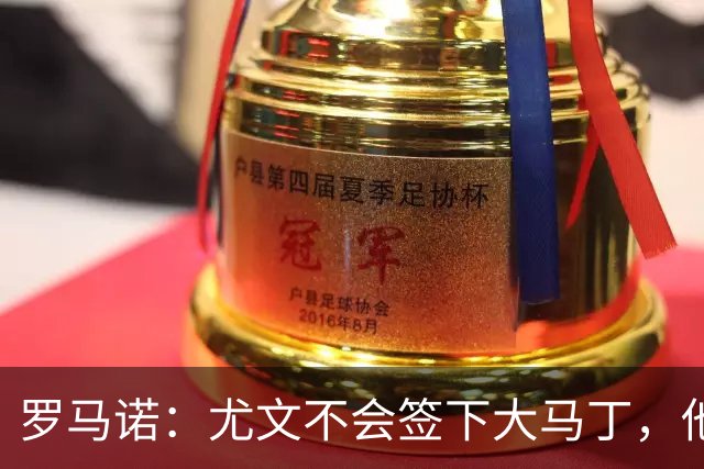 罗马诺：尤文不会签下大马丁，他们引入维卡里奥的可能性已非常大
